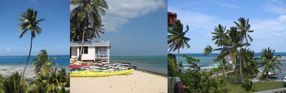 3-views