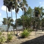 Caribbean beach