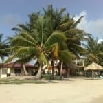 High & dry Caribbean beach