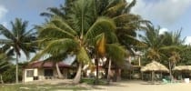 Established Caribbean Beach Resort in Hopkins