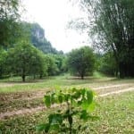 Citrus groves surrounded by dramatic limestone hills