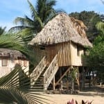 Treehouse suite
