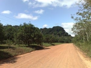 Along the Coastal Road