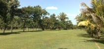 Profitable Belize Golf Course