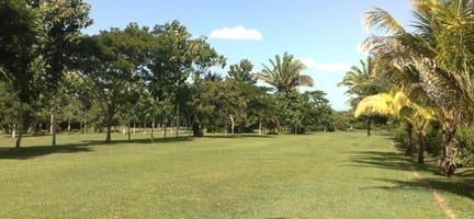 Fairway1