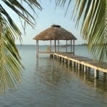 wineberry dock