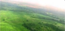 433 Acre Farm in Cameloté Village