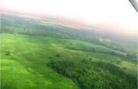 433 Acre Farm in Cameloté Village