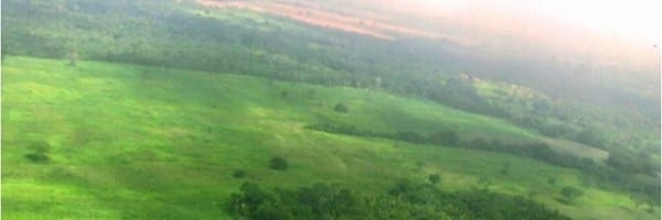 CameloteFarm1