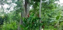 Self-Sufficient, 20 Acre Organic Farm