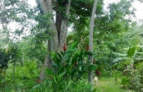 Self-Sufficient, 20 Acre Organic Farm