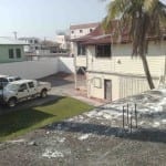 back yard