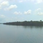 Forested island