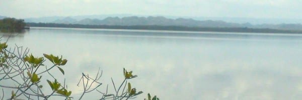 MayaMtnView
