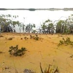 wide sand beach, good elevation