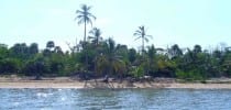 Caribbean Beach Homesites