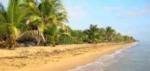 Two Miles of Pristine Caribbean Beach !