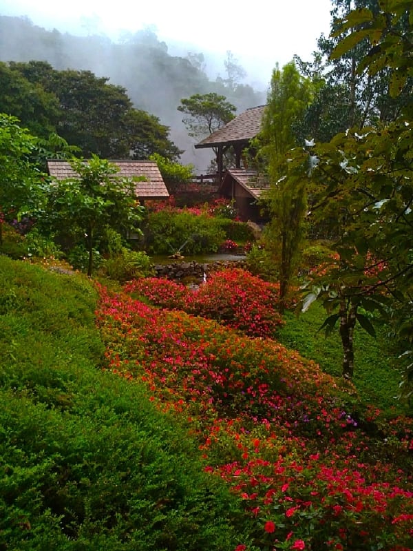 Mountain estate with extensive gardens