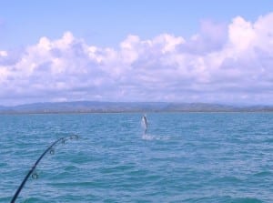 A "tarpon's eye" view of our Coastal Highway properties.