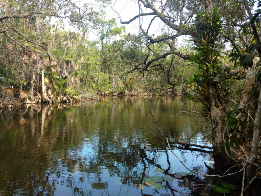 This is the geothermal pool, within Black Creek.