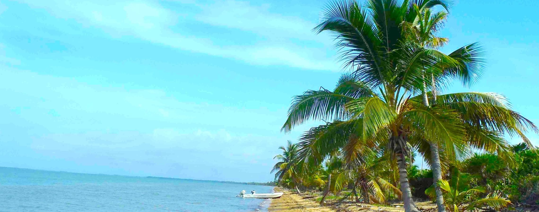 10Acre Prime Caribbean Beach Real Estate In Tropical Belize